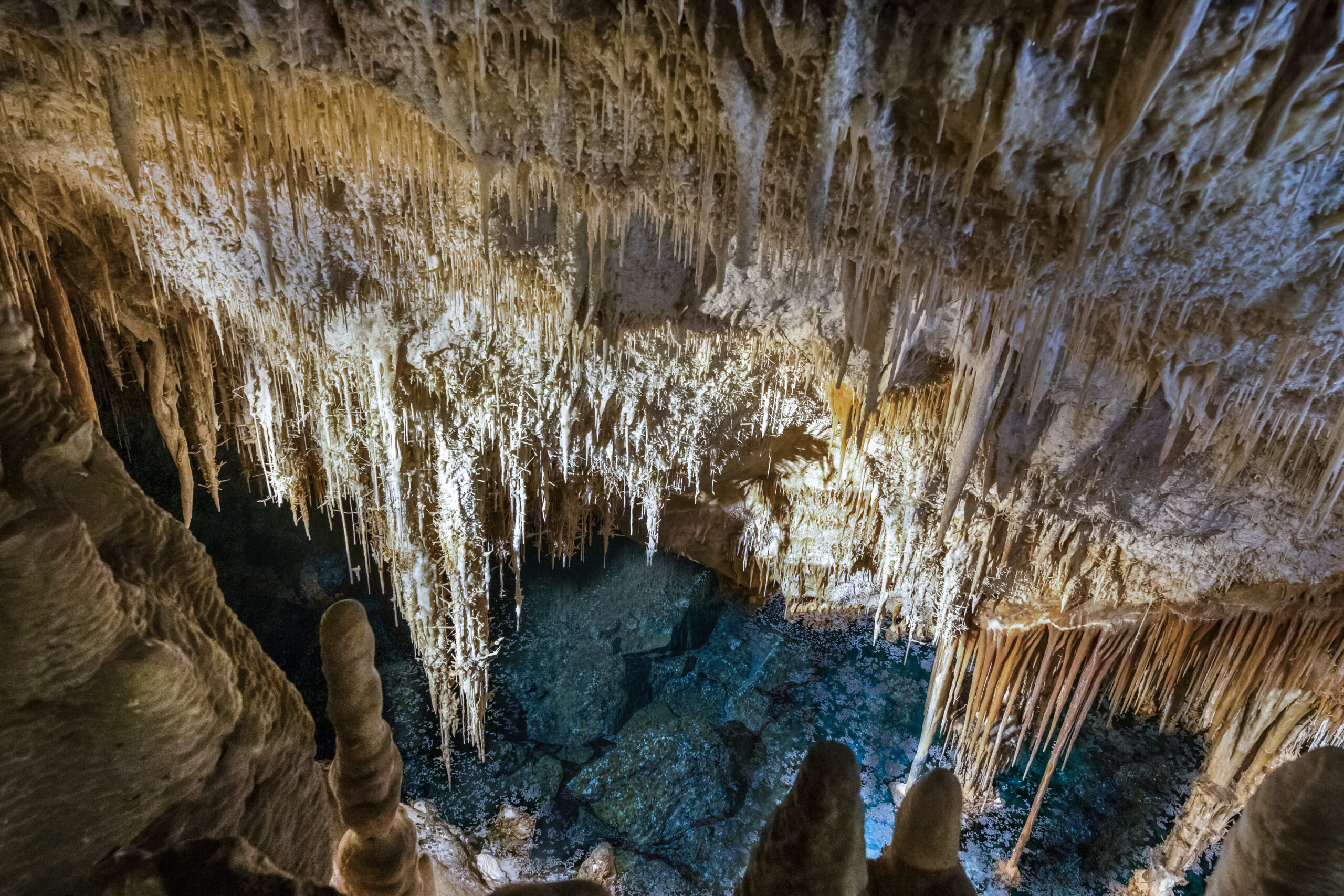 Cuevas del Drach & Perlas Mallorquinas