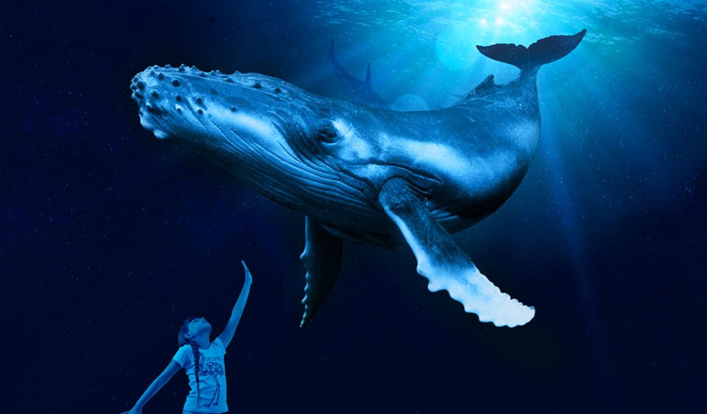 Whales